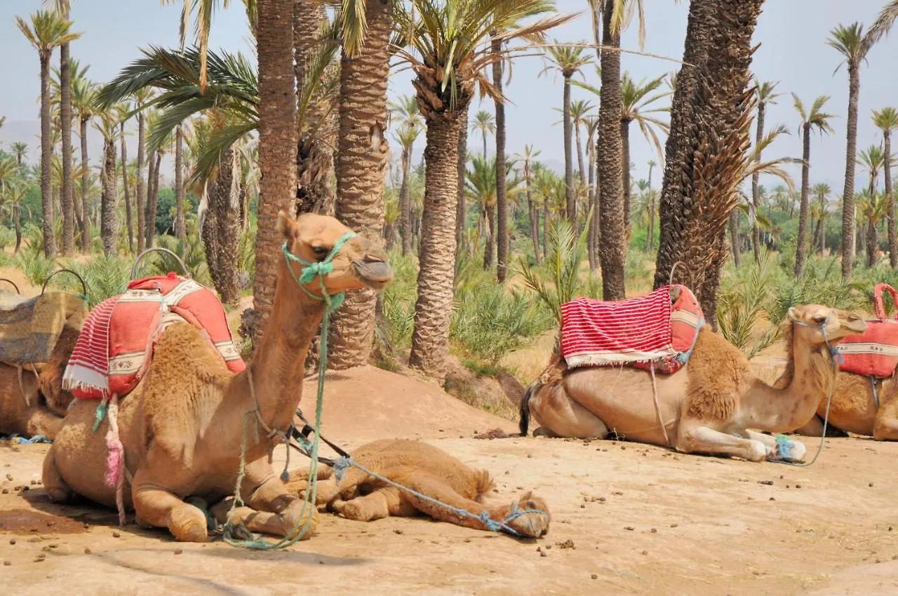 Dar Salam Palm - 2024 Travellers' Choice Hotel Marrakesh Riad