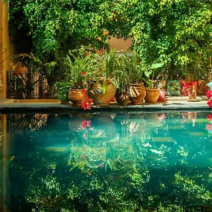 Roxanne Hotel typu riad